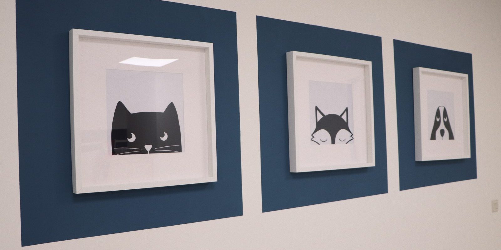 JIPP Psychologie, Praktijk, Goes