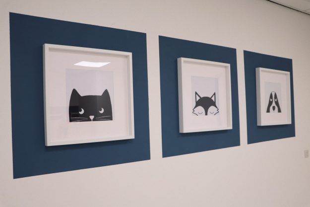 JIPP Psychologie, Praktijk, Goes