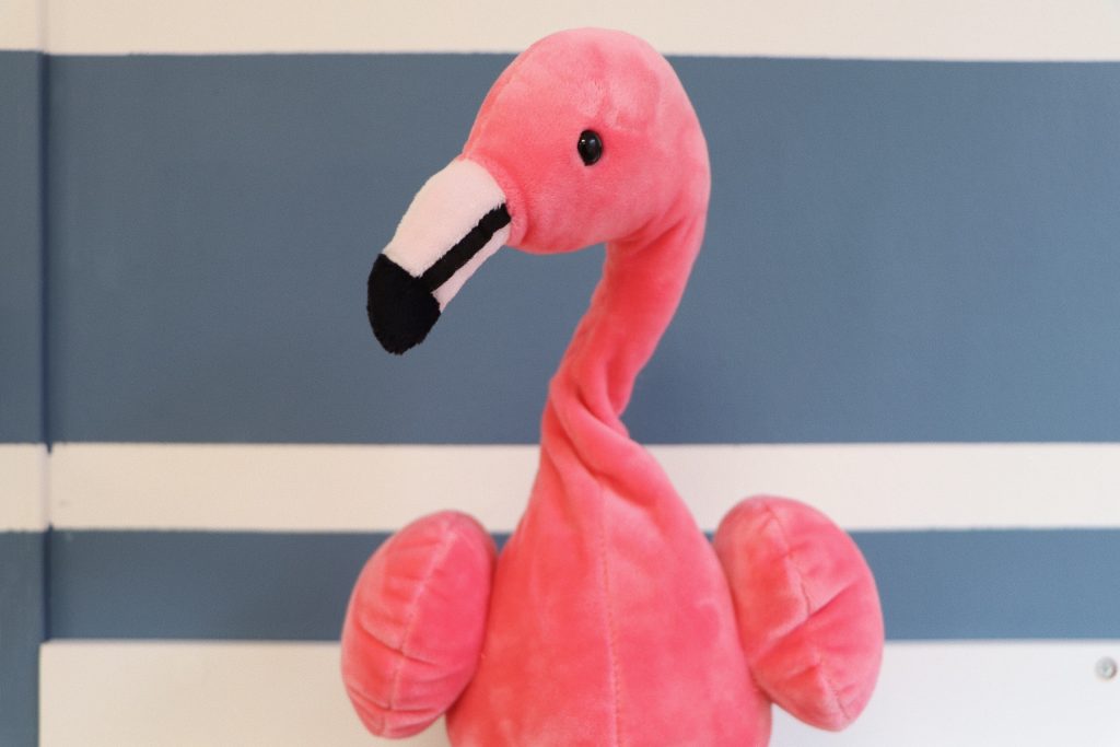 JIPP voor Thuis! - Week 3